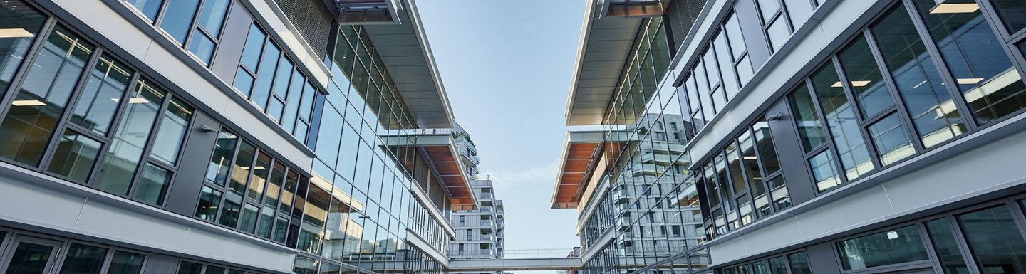 Perspective architecturale du campus d’emlyon dans le 7e arrondissement de Lyon.