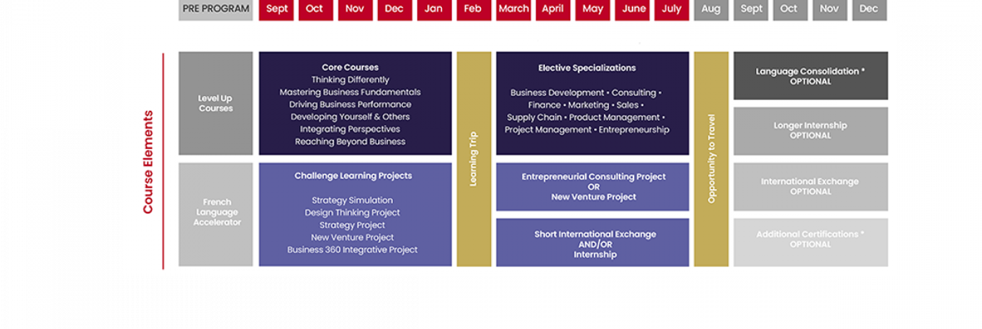 IMBA structure emlyon