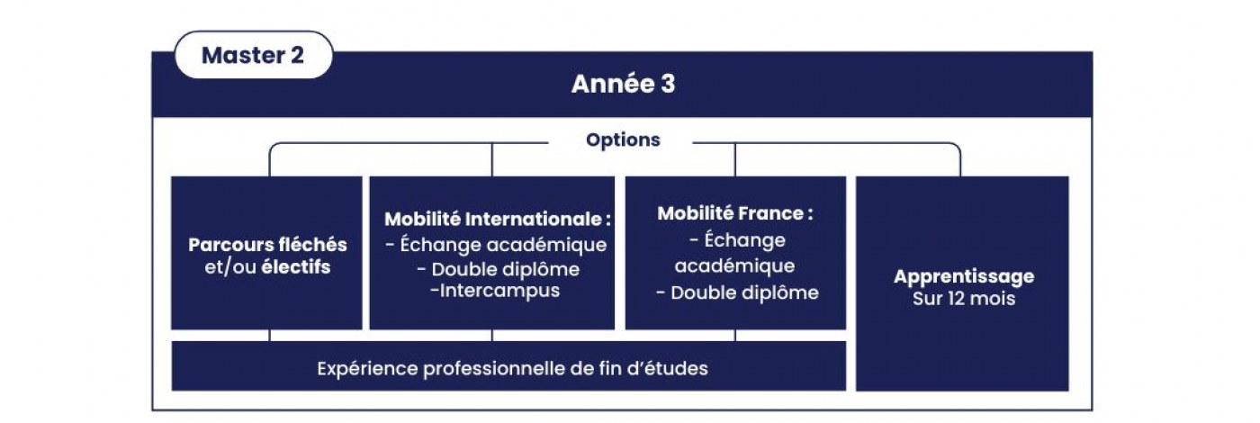 Année 3 du PGE CPGE emlyon business school
